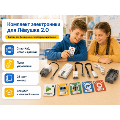 Комплект электроники для Лёвушка 2.0 + карты программирования
