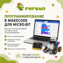 Робототехнический набор Гигоша для школы с microbit