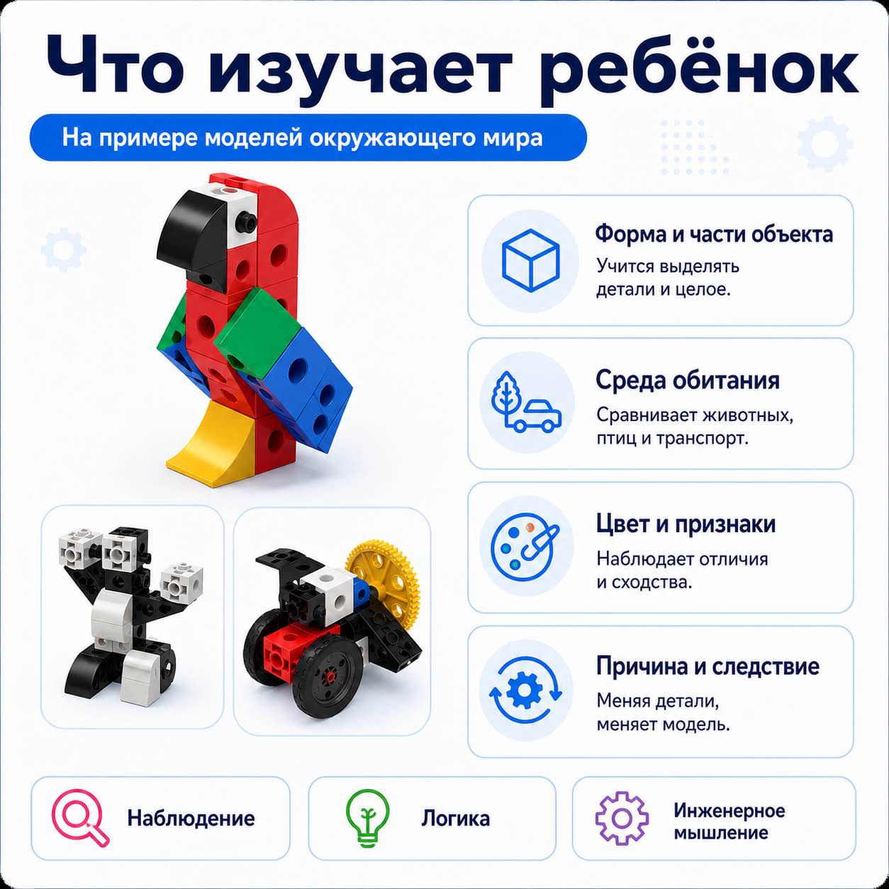 Что изучает ребёнок с набором Окружающий мир Gigo